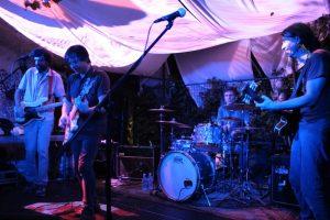 IMG-a432b32dcb325684c139798337e9c227-V-300x200 Ove ptice poznajem - reportaža sa koncerta Velikog Prezira