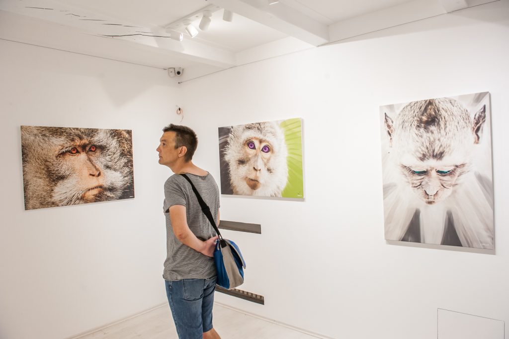 DSC_8125-1024x681 Otvorena izložba "Ja majmun", pogledajte portrete majmuna sa Balija
