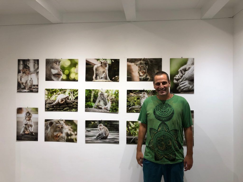 IMG_5403-1024x768 Otvorena izložba "Ja majmun", pogledajte portrete majmuna sa Balija