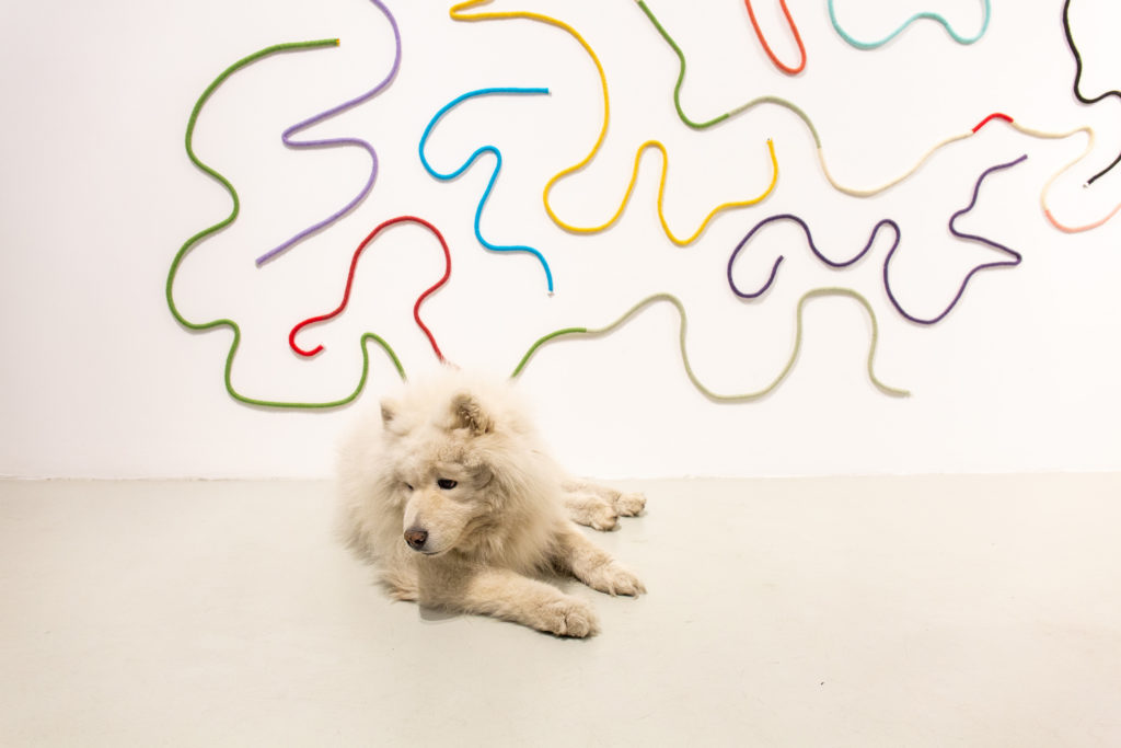 Curiosa-Ema-Novembar-2020-45-1024x683 "Curiosa", izložba tkanih slika Emilije Radojičić