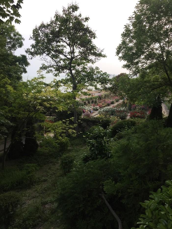 vanj3 ŽIVOT (NI)JE BAJKA: Kako je princeza Marija od Edinburga postala poslednja kraljica Rumunije