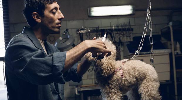 Dogman-1 Poslednji film proslavljenog austrijskog reditelja i scenariste Mihaela Hanekea – drama "Hepiend" na platformi MOJ OFF