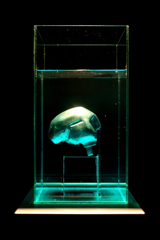 Senka-Trivunac-2-683x1024 Izložba "Master State" Katarine Jovanović Alfe i Senke Trivunac u Galeriji DOB