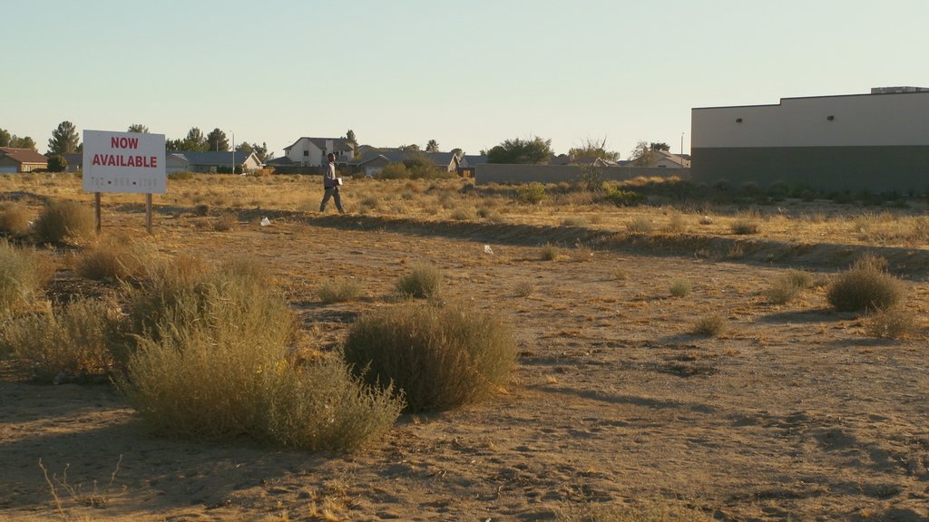 dokumentarni-film-viktorija-beldocs-festival Dvanaest premijera u međunarodnom takmičarskom programu Beldocsa