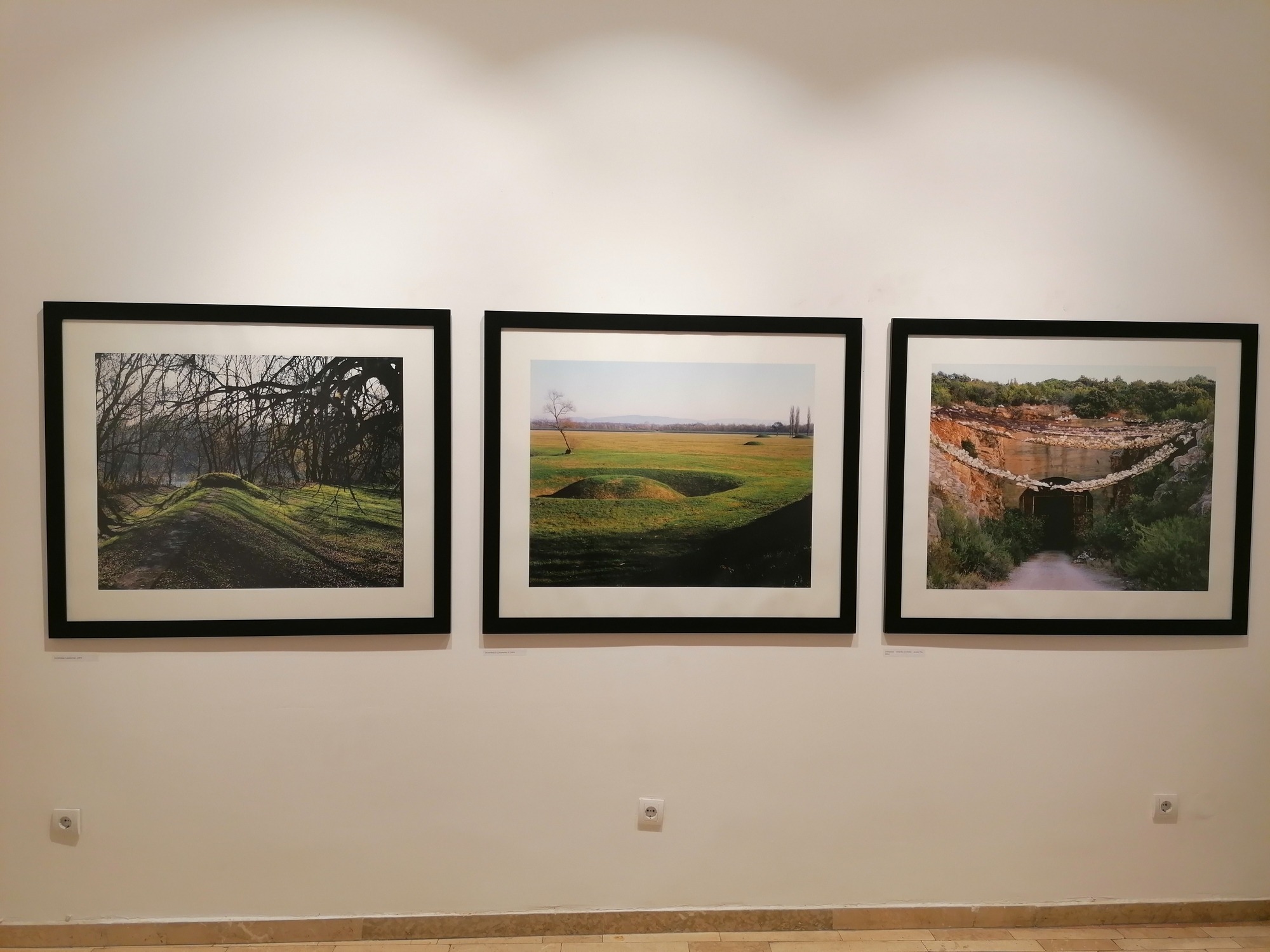 IMG_20200806_191946 Bili smo na izložbama "Lažni bol" i "Neplodna tla" (GALERIJA)