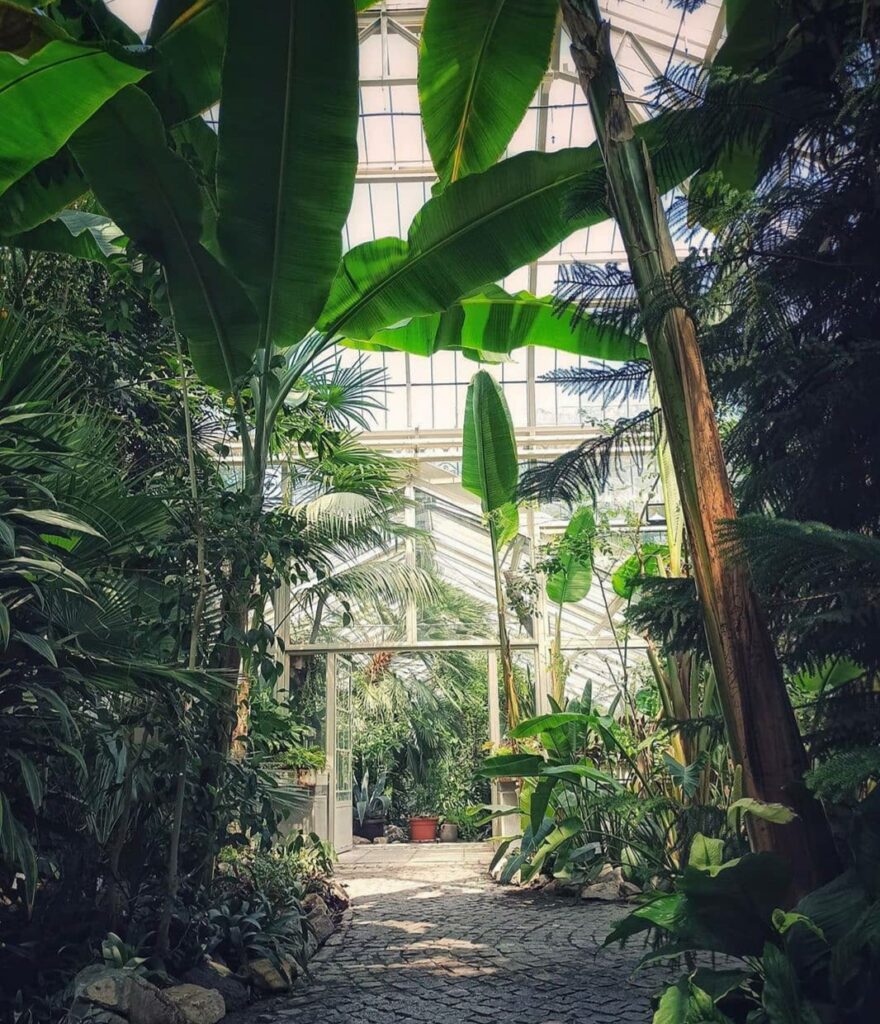 Unutrasnjost-baste-foto-Instagram-880x1024 Vikend pred nama: Večernji obilazak Botaničke bašte