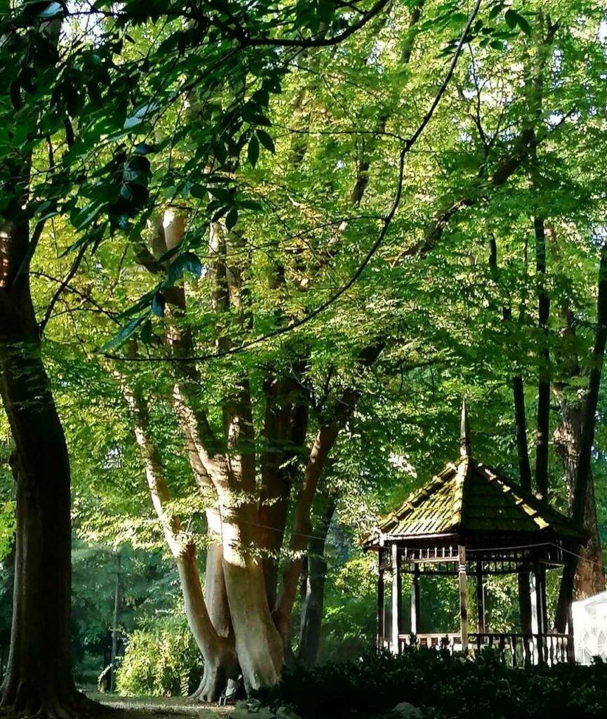 park-u-okviru-baste-foto-Instagram-865x1024 Vikend pred nama: Večernji obilazak Botaničke bašte