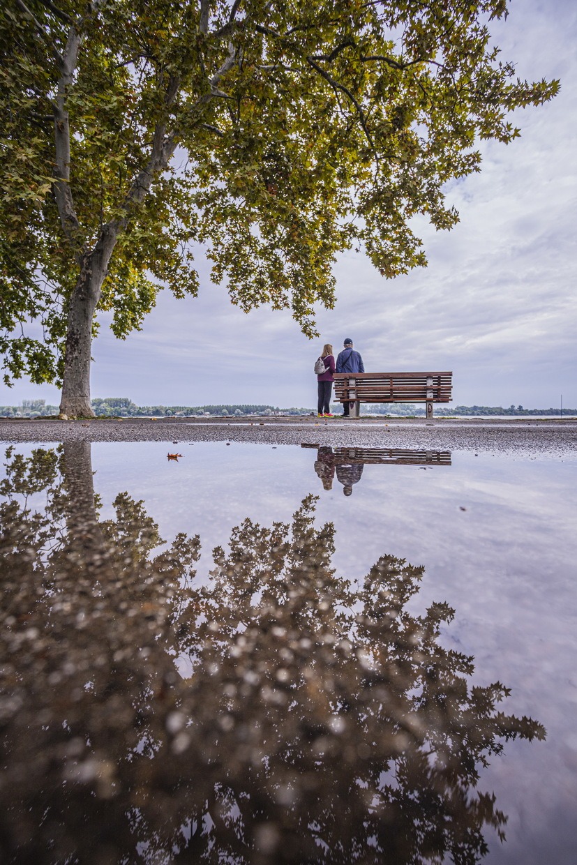 3-Par-Zemun-2020-35x525-cm-Tijana-Lubura-1 Izložba fotografija Tijane Lubure