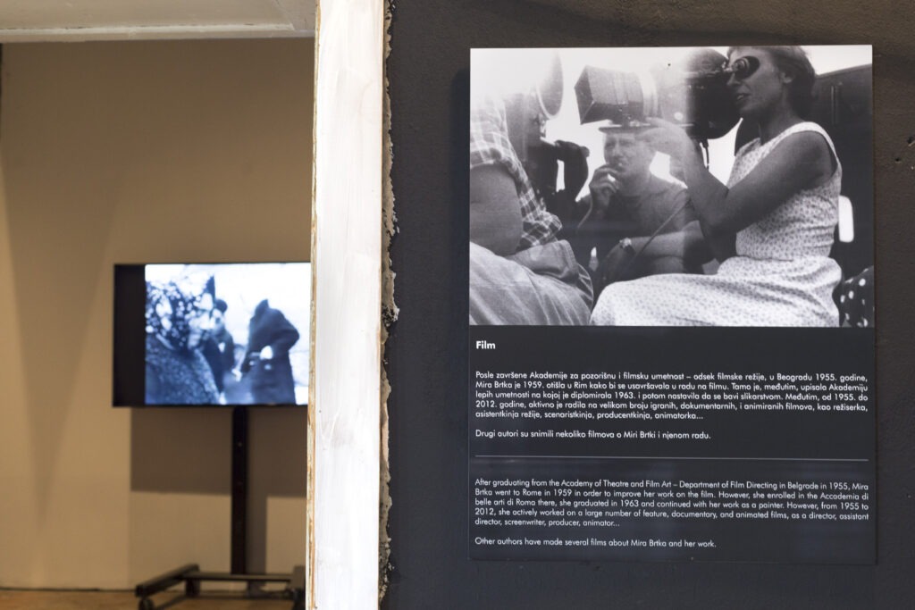 45-1024x683 Mira Brtka - uzbudljiv život vanserijske umetnice