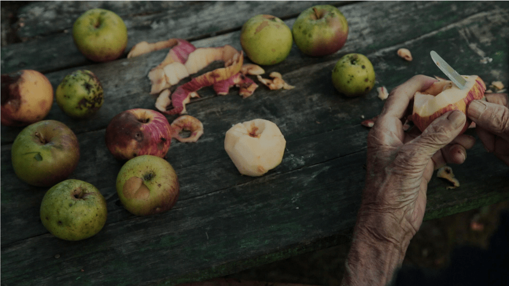 A-SAD-SE-SPUSTA-VECE 67. Martovski festival: Selekcija dokumentarnog filma do 50 minuta