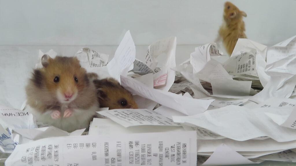 LIVIN-LA-VIDA-LOCA-1024x576 Eksperimentalni filmovi i video art na Martovskom festivalu