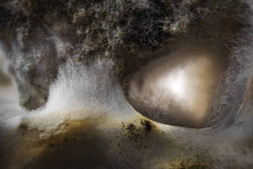 Fedja-Kiselicki-1024x683 Izložbe fotografija „Pejzaži nemara” Feđe Kiseličkog i „Moda i strast” studenata Fakulteta za medije i komunikacije