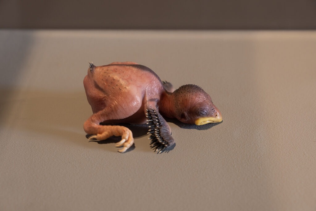 NenadGajic_2048px_NK_4-1024x683 Predstavljamo četiri domaća umetnika na Oktobarcu: Sanja Ćopić, Nadežda Kirćanski, Igor Simić, Nenad Gajić