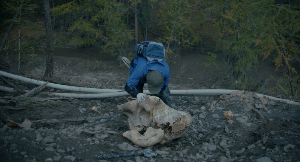 Holgut_Stills_709_26-1024x554 Liesbeth De Ceulaer: Nadam da će moji filmovi doprineti debati o ekološkim temama