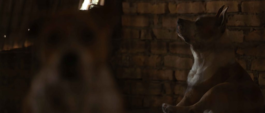 Prilagodeni-1 Svetske premijere novih filmova Srđana Keče i Dejana Petrovića na 34. festivalu IDFA u Amsterdamu