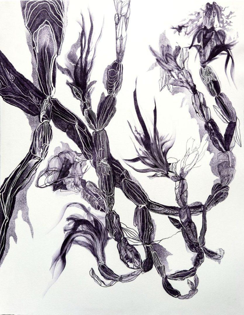 Eduardo-Barera_Geo-estetska-studija-VII-Kaktusnjak-835x1080 Savremena meksička grafika u Institutu Servantes