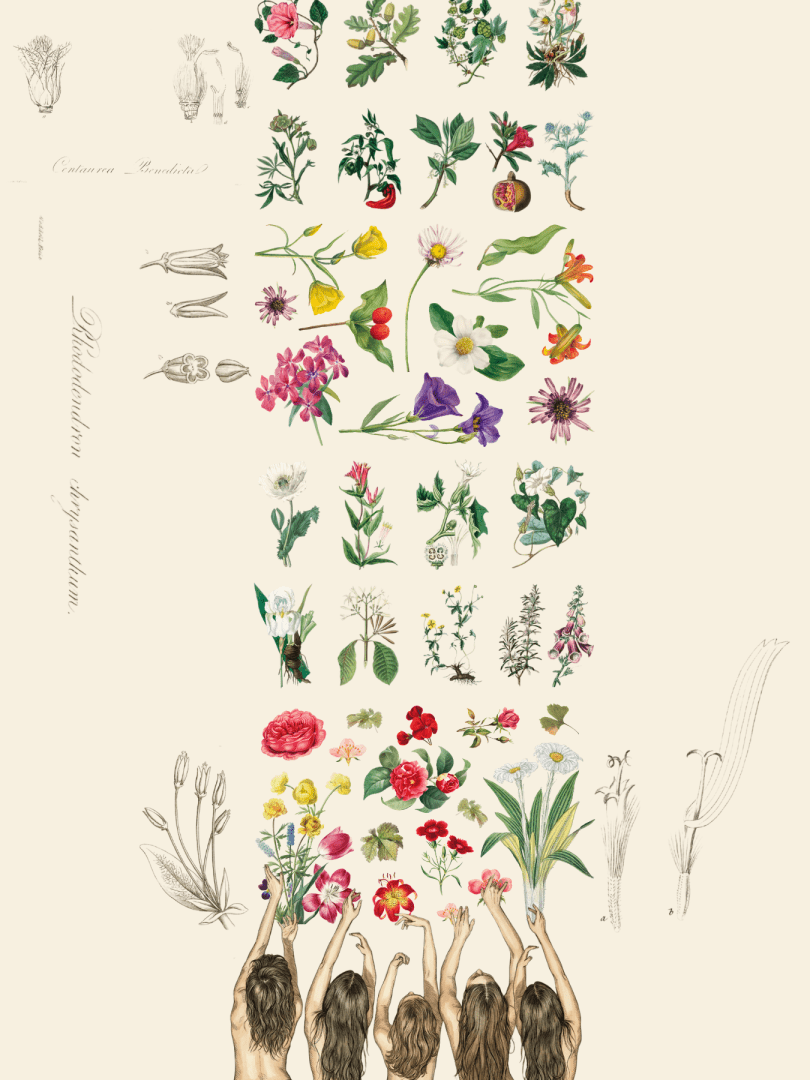 2-1-1-810x1080 Premijera predstave "ja sam gola voda" u Bitef teatru